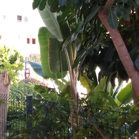 Apartamento Hibiscus *